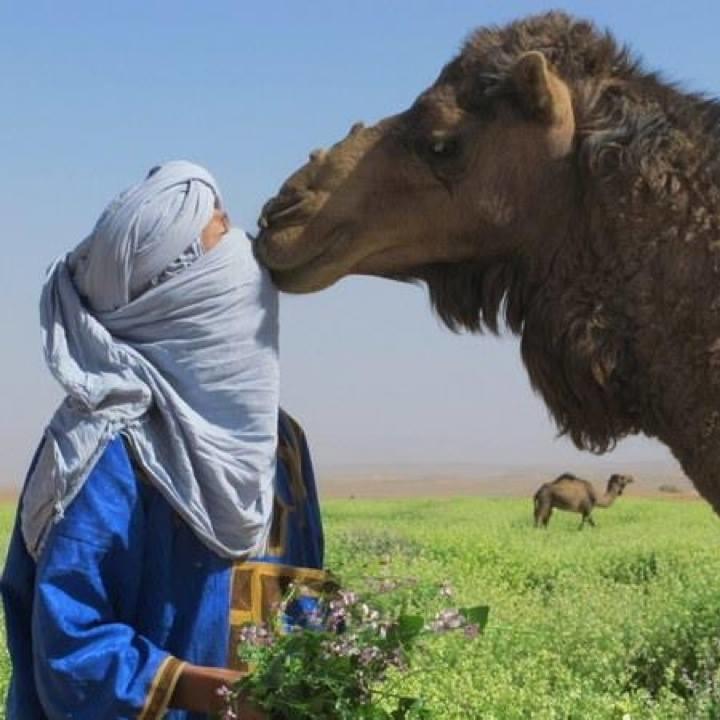 Riad De Reve Zagora Εξωτερικό φωτογραφία